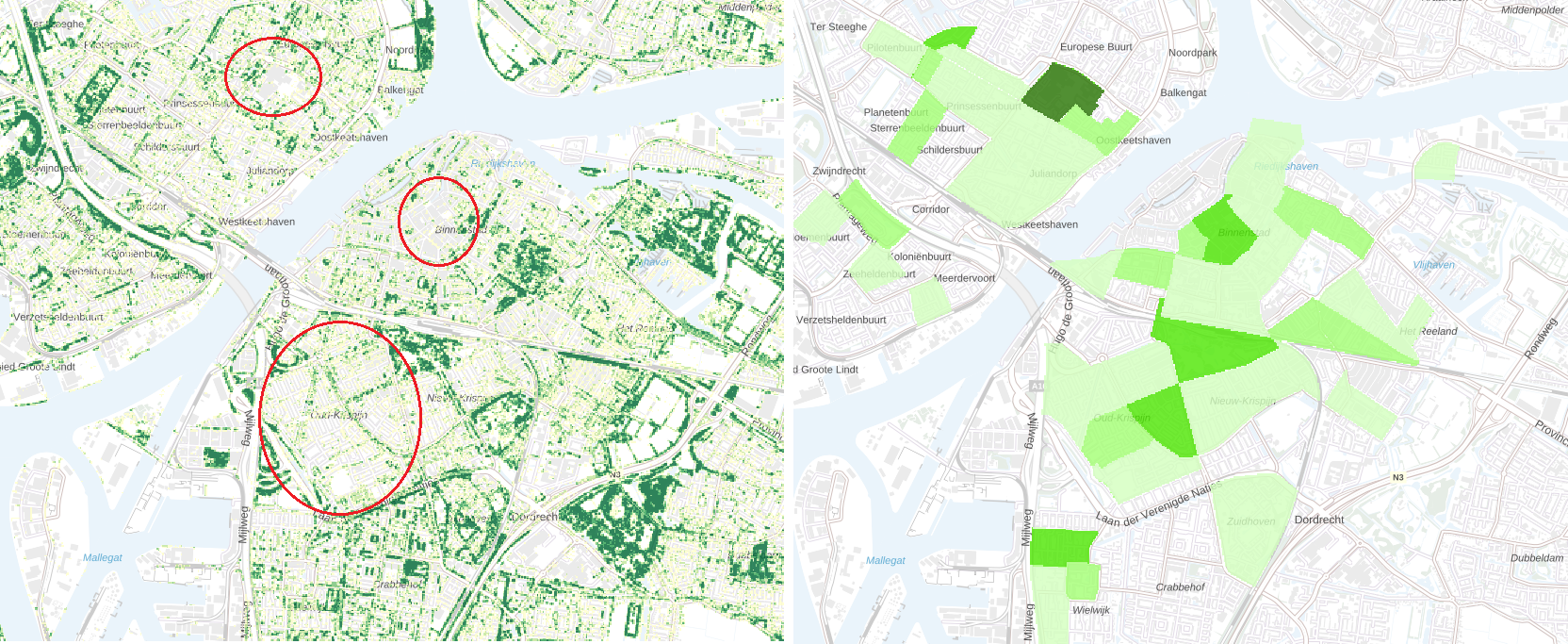 Bomen en kwetsbare buurten Dordrecht