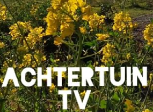 Foto van gele bloemen met het logo van Achtertuin TV