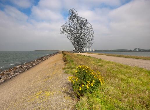 Het kunstwerk de zittende reus in het Nederlandse landschap