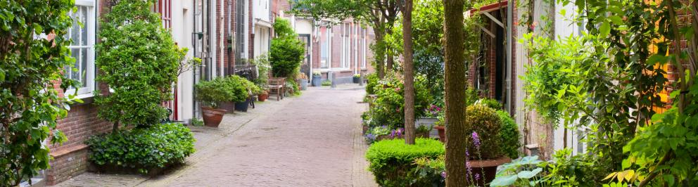 Smalle straat in Haarlem met woningen en een smal pad in het midden met heel veel groen