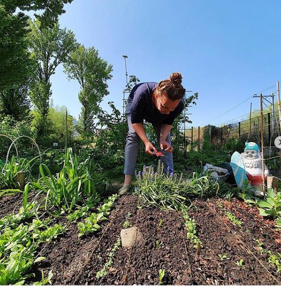 Moesmeisje Kim Nelissen in haar moestuin 