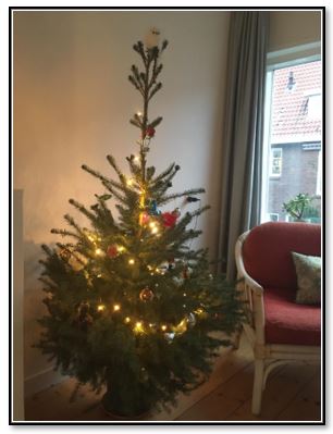 Kerstboom Sanne