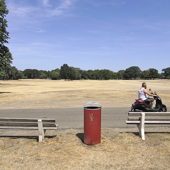 Droogte in park