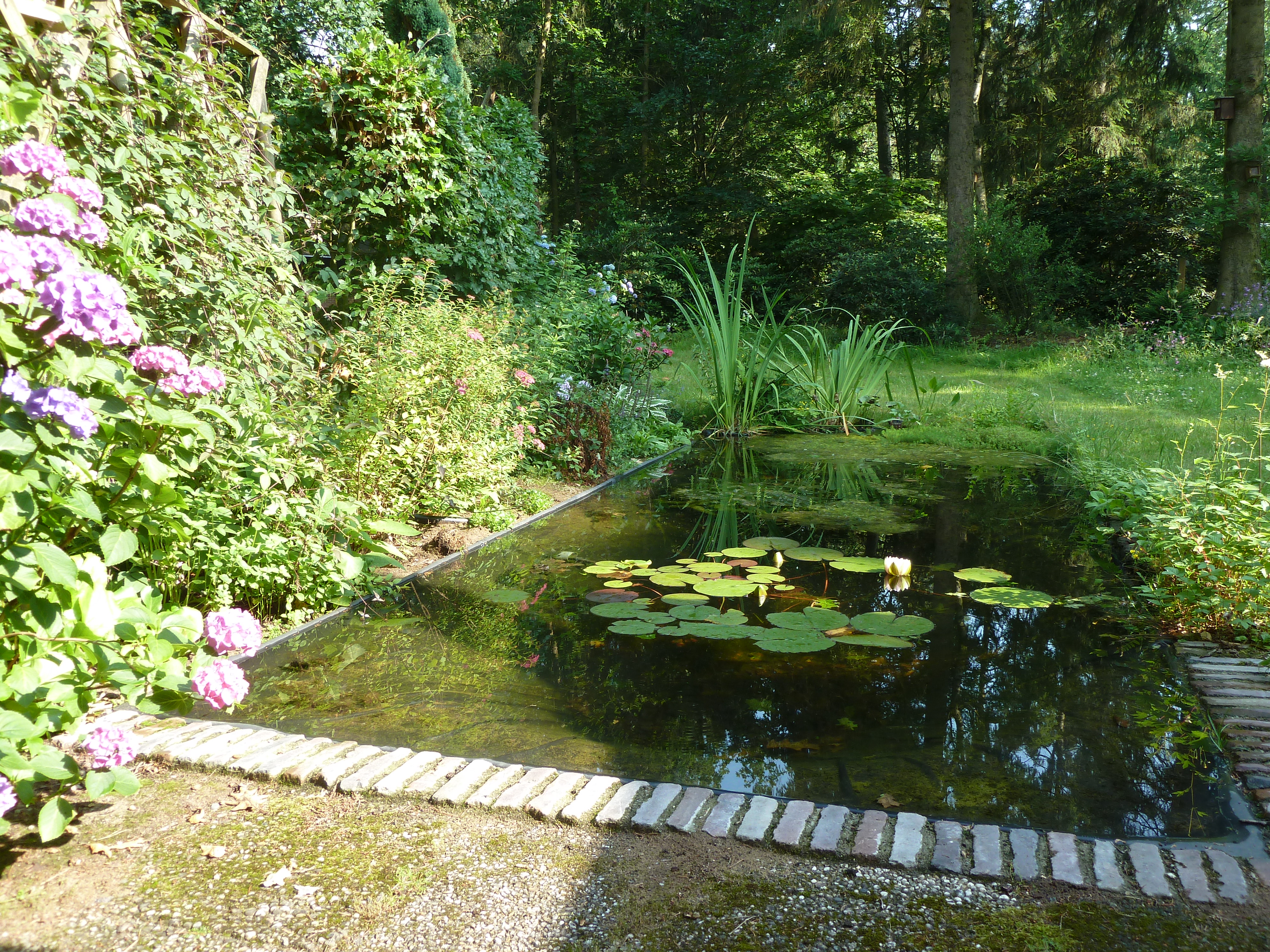 Vijver in tuin