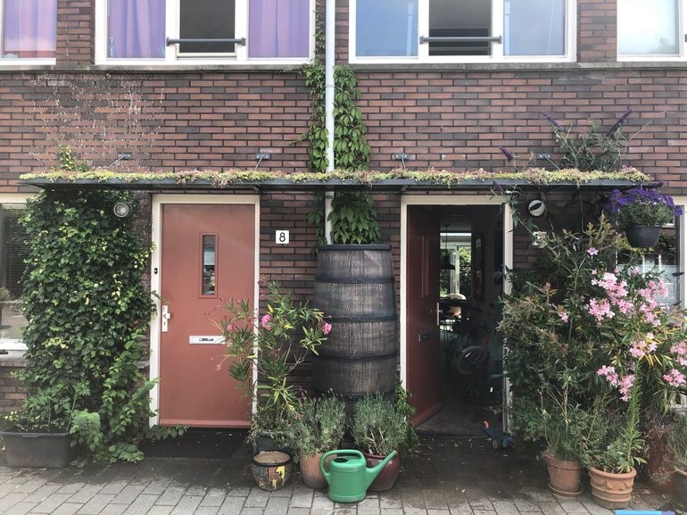 Groen dak boven voorgevel in straat in Utrecht (Bron: Atlas Leefomgeving)