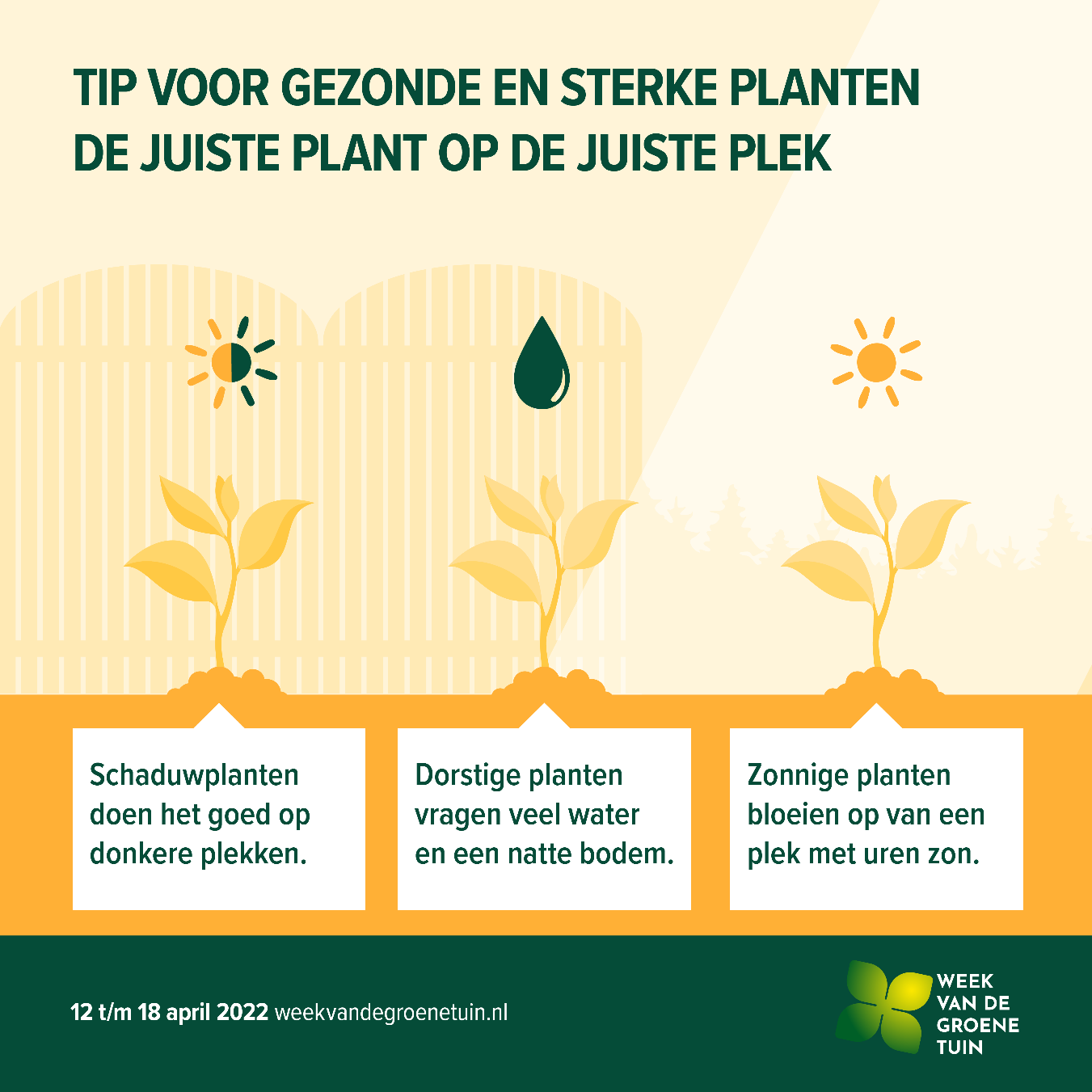 Tip voor gezonde en sterke planten Bron: Milieu Centraal