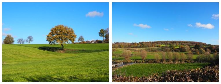 Graft en lijnen in landschap Geuldal