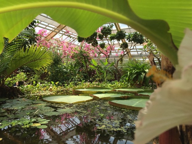 Hortus Botanicus Leiden