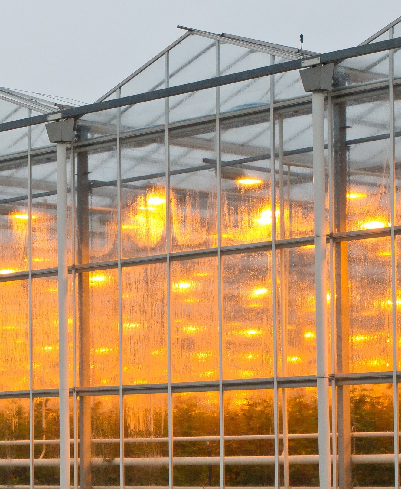 kas met licht aan