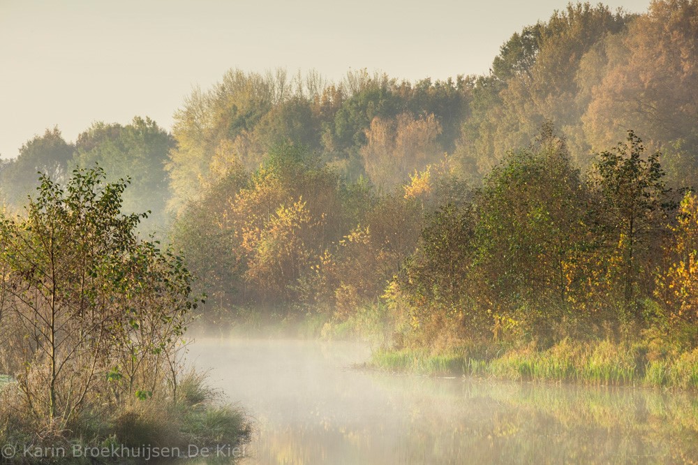 De Hunze in de mist