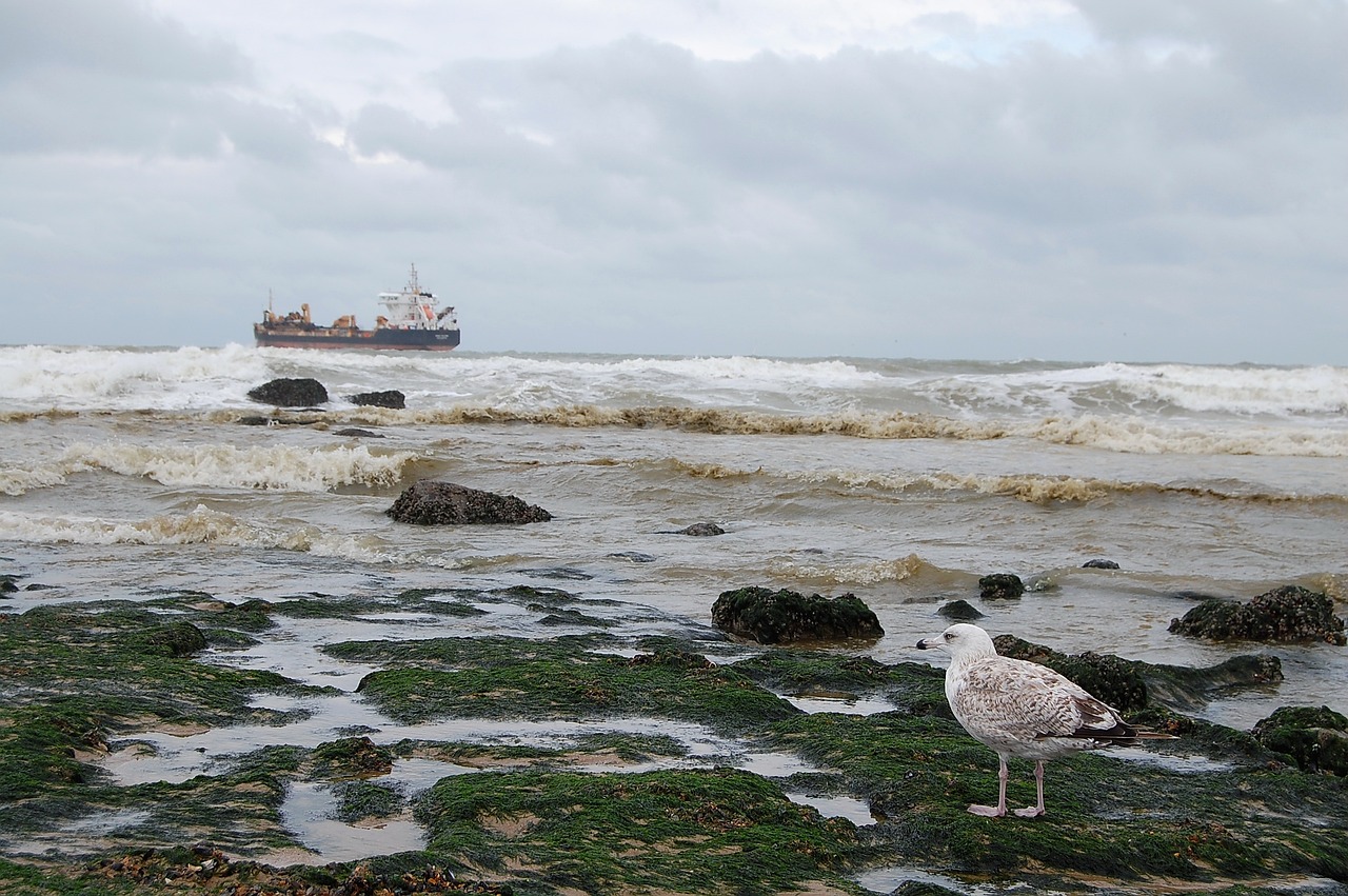 Kust in Oostende