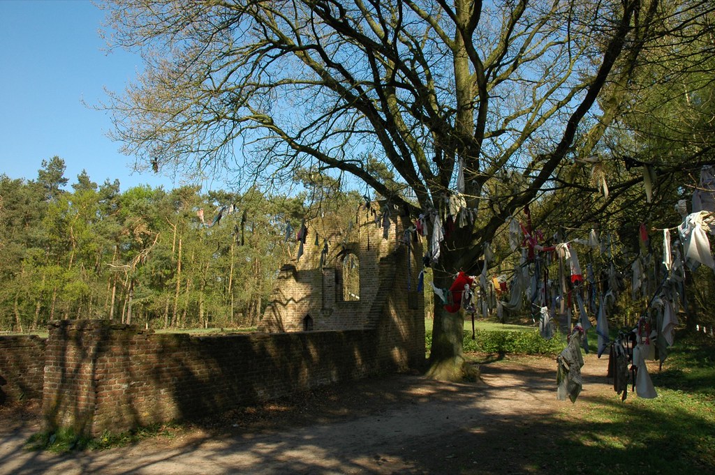 Koortsboom Overasselt in 2007