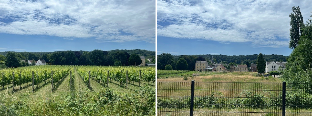 Zuid-Limburg vanuit trein