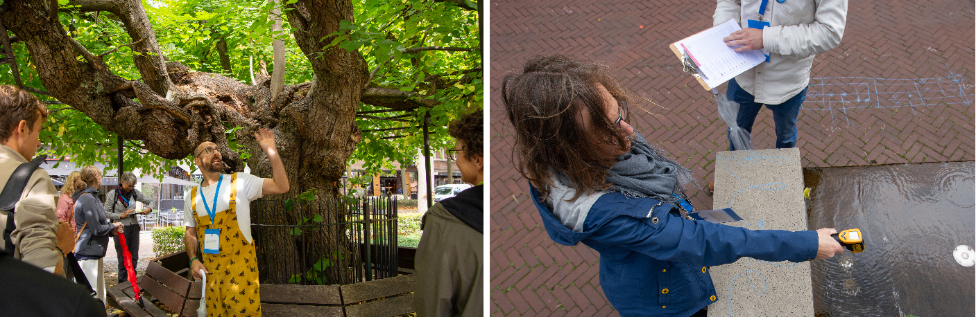 Workshopronde 3 Meten is weten en Bosbaas Edwin Atlasfestival 2025