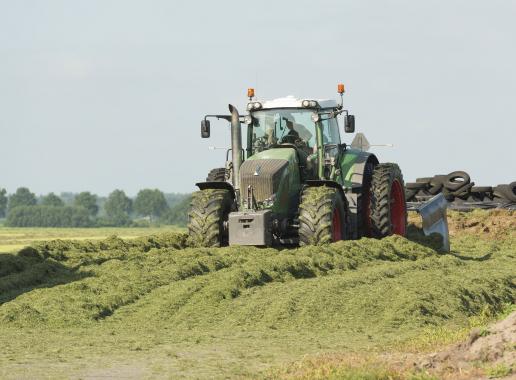 inkuilen en aanrijden van de kuil met een grote tractor in de zomer