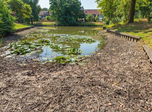 Vijver en groen met op achtergrond huizen