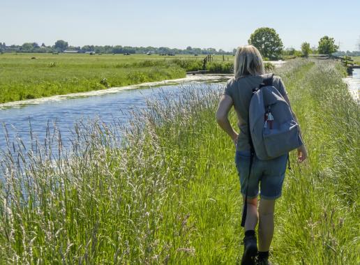 Wandelen in de natuur