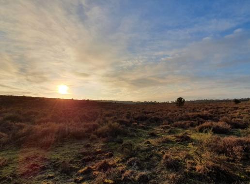 Natuurgebied de Postbank tijdens zonsondergang