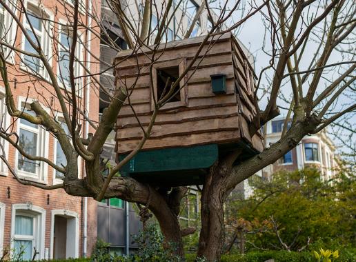 Een boomhut met een dak, muren en één raam in een boom zonder blaadjes. Op de achtergrond staat een rij huizen. 