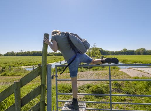 Een vrouw met wandelschoenen aan klimt over een hek in een weiland