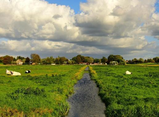 Nederlandse leefomgeving