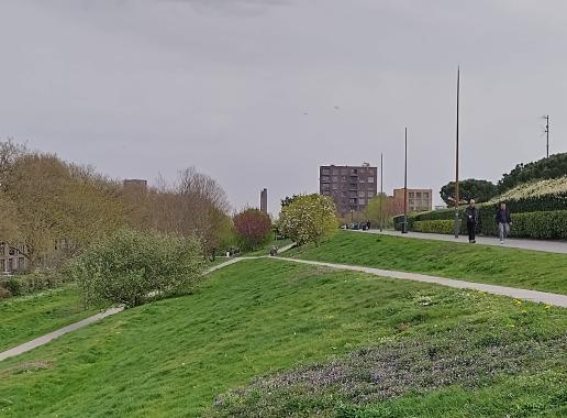 Dakpark van Rotterdam