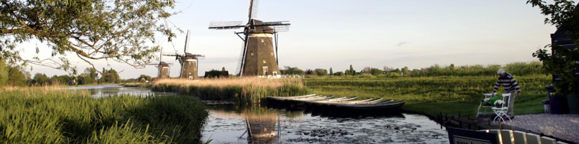 Zicht vanaf een slootje op de molens in Kinderdijk op de achtergrond