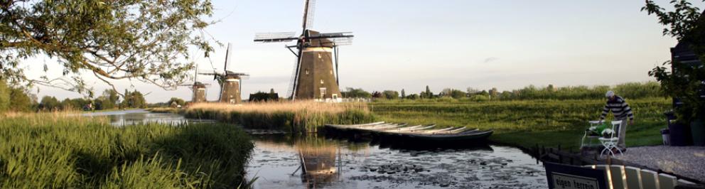 Zicht vanaf een slootje op de molens in Kinderdijk op de achtergrond