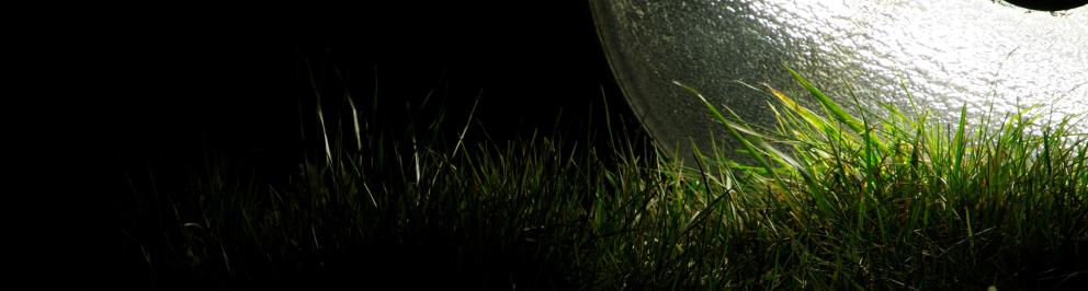omgevallen lantarenpaal die licht op het gras schijnt