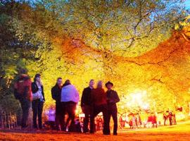 Mensen vieren 's avonds Fete de la nature