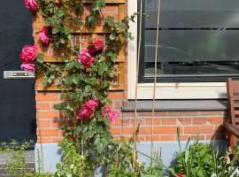 Gevelbeplanting in straat in wijk Lombok Utrecht