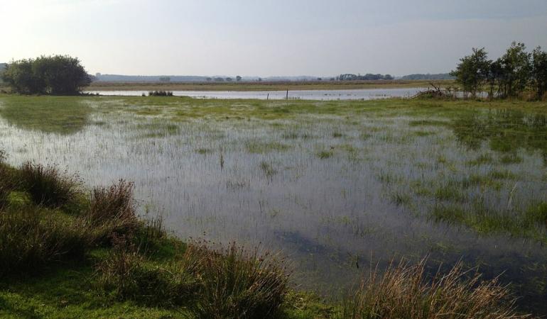 Veenplas in Nederland met veel water en ondergelopen land