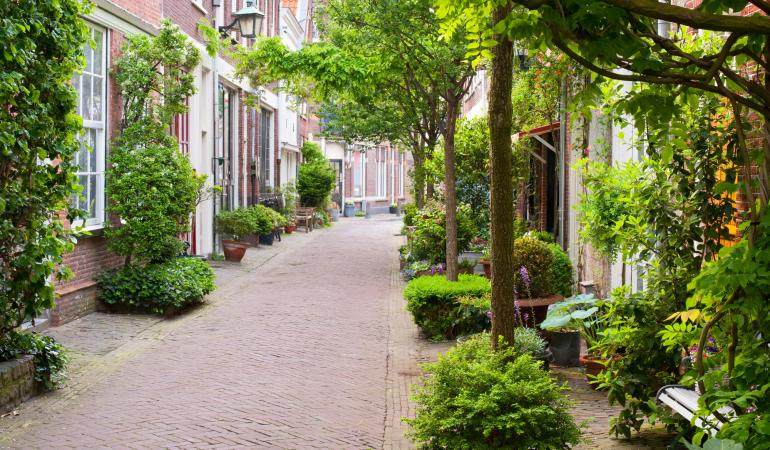 Smalle straat in Haarlem met woningen en een smal pad in het midden met heel veel groen