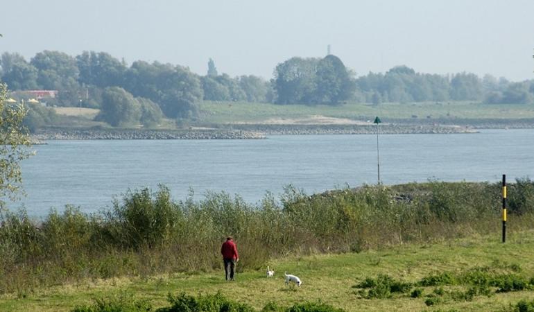 Uiterwaarde - RIVM beeldbank Persoon laat honden uit in de uiterwaarde