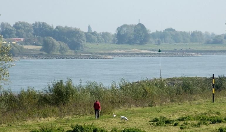 Persoon laat honden uit in de uiterwaarde