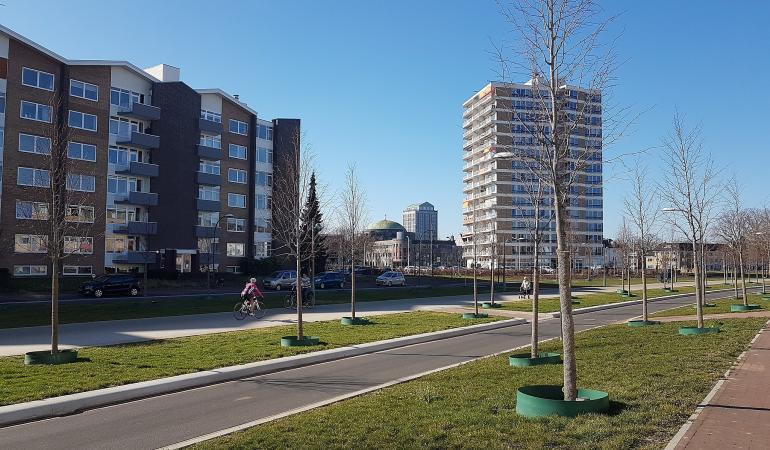 Groene Loper in Maastricht