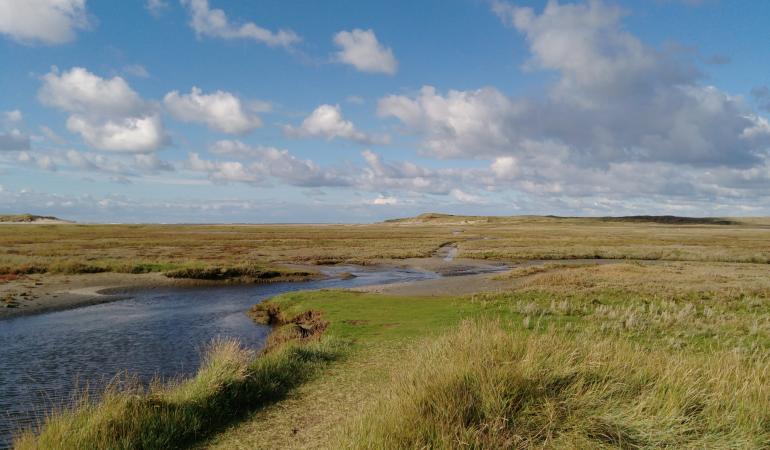 Natuur op Texel