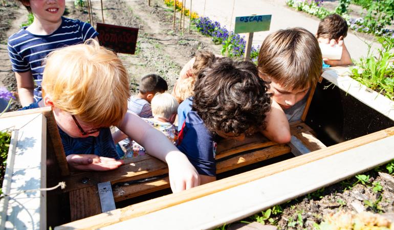 Kinderen verkennen wormenbak in Schooltuin Vink 