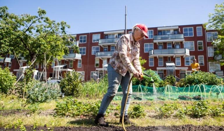 Het Eetbare Plantsoen