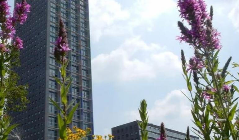 Bloemen in straat met flats