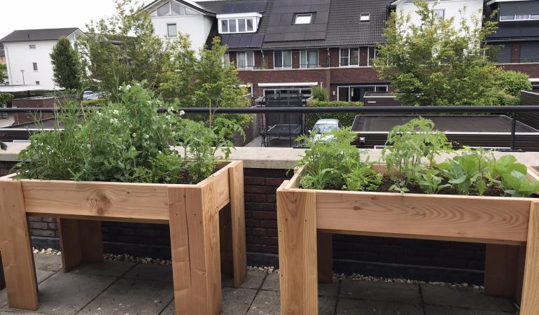 Moestuinbakken met planten op balkon