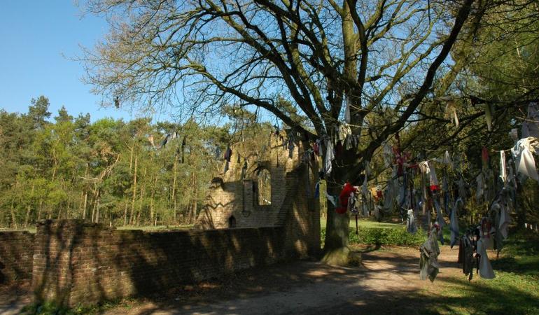 Koortsboom Overasselt in 2007