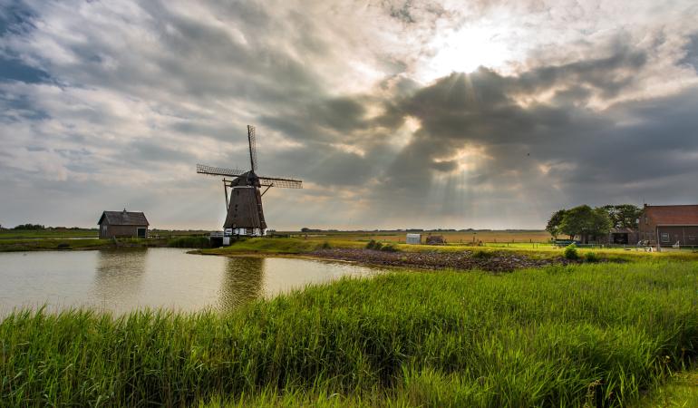 Molen in landschap 