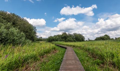 Wandelpad in Nationaal Park de Hoge Kempen in Vlaanderen