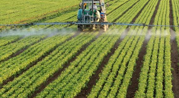 Landbouwgrond met rijen gewas wat met tractor m.b.v. sproei installatie besproeid wordt