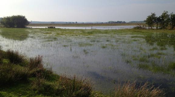Veenplas in Nederland met veel water en ondergelopen land