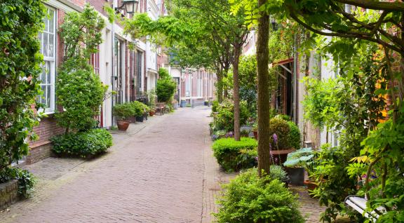 Smalle straat in Haarlem met woningen en een smal pad in het midden met heel veel groen