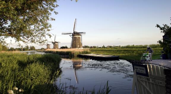 Zicht vanaf een slootje op de molens in Kinderdijk op de achtergrond