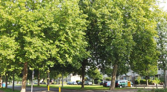 Wijk Overvecht in Utrecht