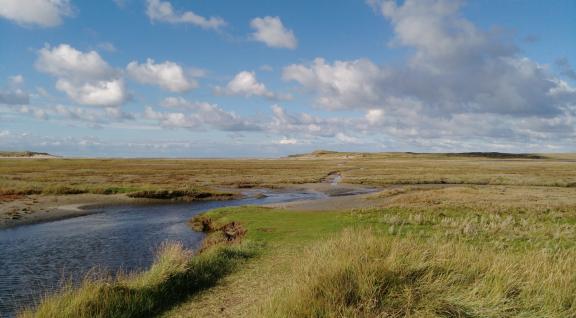 Natuur op Texel